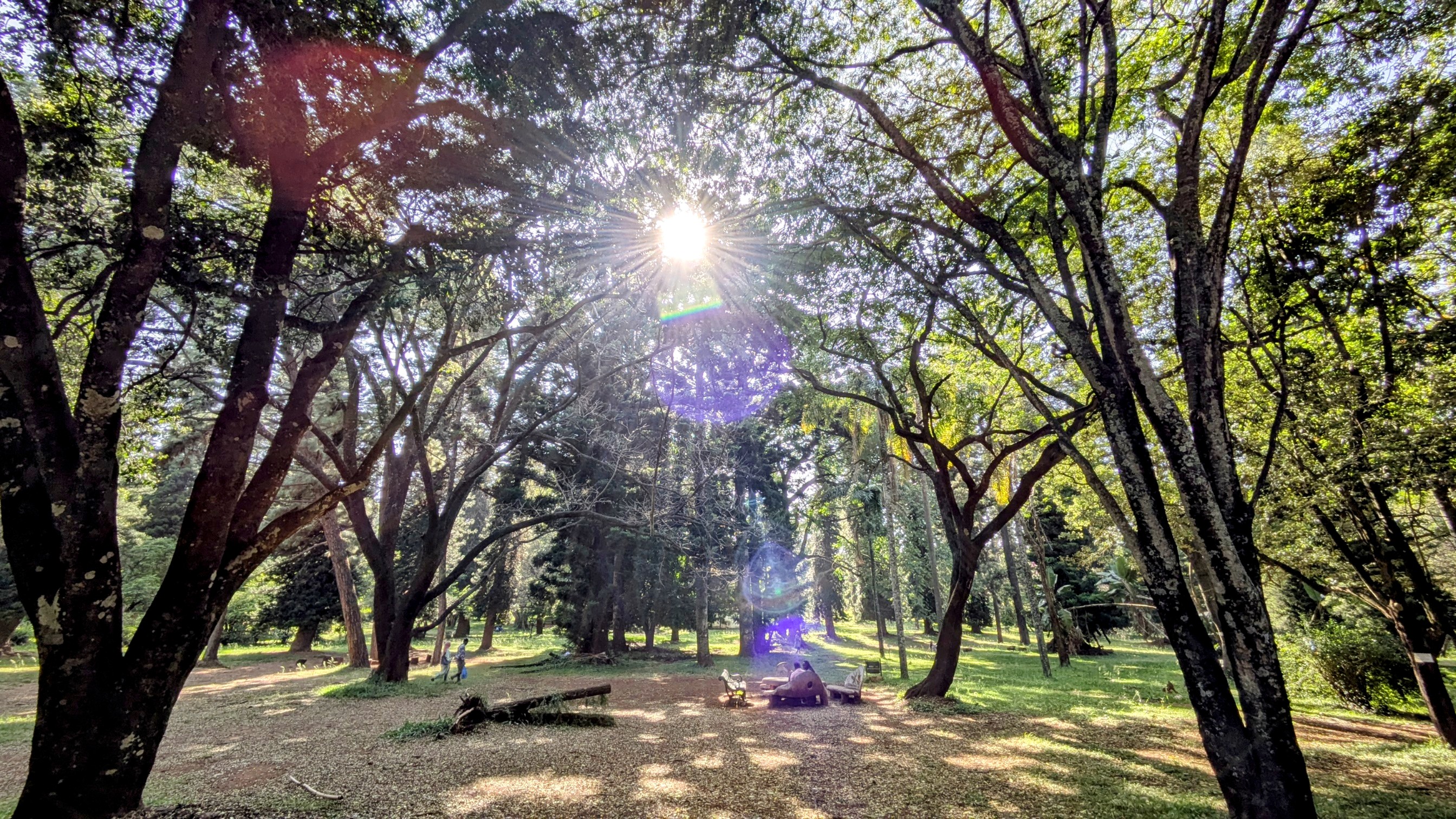 kenya6.jpg kenya6.jpg