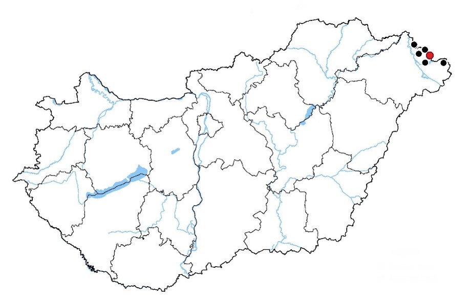 Picture1.jpg