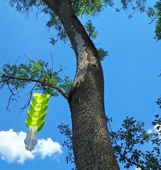 Picture2.jpg