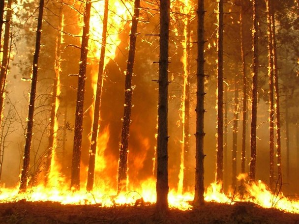 Véget ért az Integrált erdőtűz megelőzési rendszer fejlesztése című projekt Véget ért az Integrált erdőtűz megelőzési rendszer fejlesztése című projekt